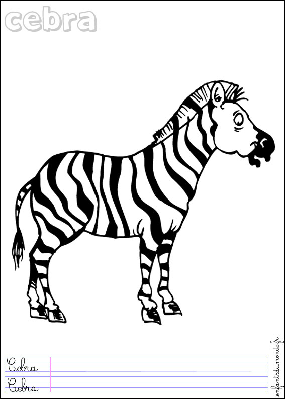 coloriage zebre 2 .:. Coloriages Animaux de la jungle en espagnol